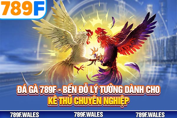 Đá Gà 789F - Bến Đỗ Lý Tưởng Dành Cho Kê Thủ Chuyên Nghiệp