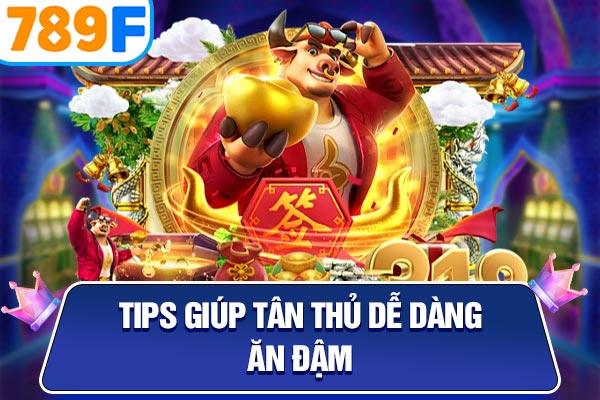 Tips giúp tân thủ dễ dàng ăn đậm