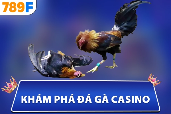 Khám Phá Đá Gà Casino – Hình Thức Giải Trí Đẳng Cấp Tại 789F